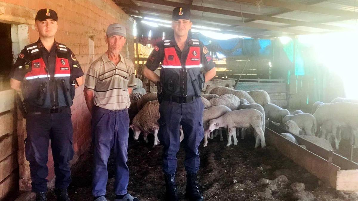 Kayıp sürüyü jandarma dronla buldu