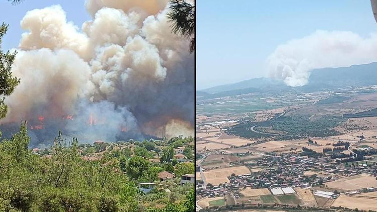 İzmir'de orman yangını: Ekipler müdahale ediyor