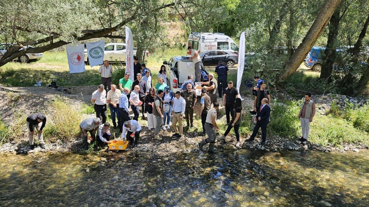 Ecemiş Çayı'na 14 bin yavru alabalık bırakıldı
