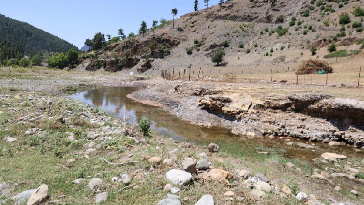 6 Şubat depremlerinde suyu çekilen kuyu etrafındaki hayvanlar telef oldu