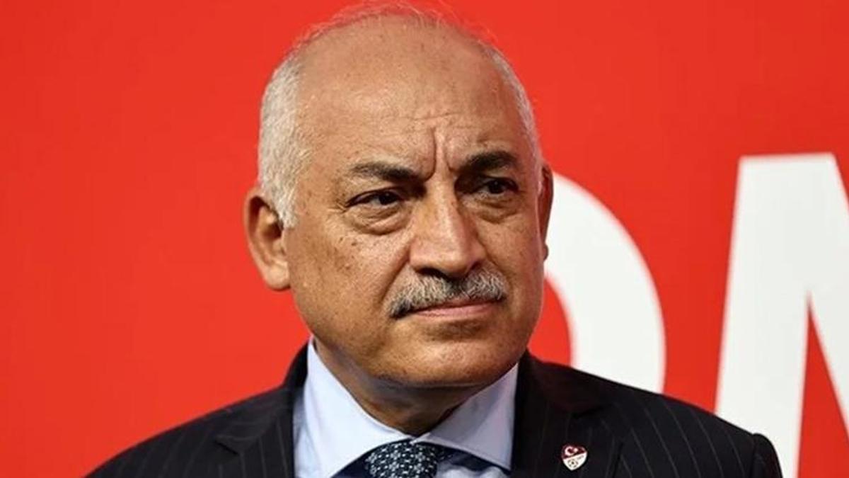 Mehmet Büyükekşi'den Merih Demiral açıklaması: "İtiraz hakkımız da elimizden alınmıştır"