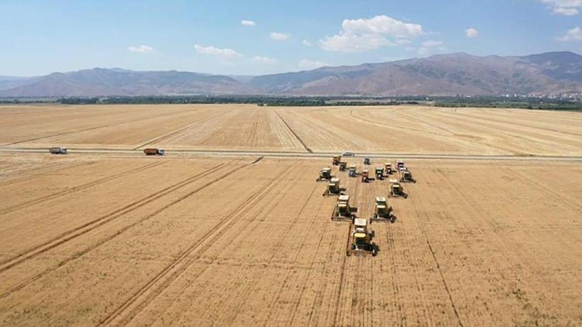TİM açıkladı: Türkiye'de kişi başına 250 kilo buğday üretiliyor