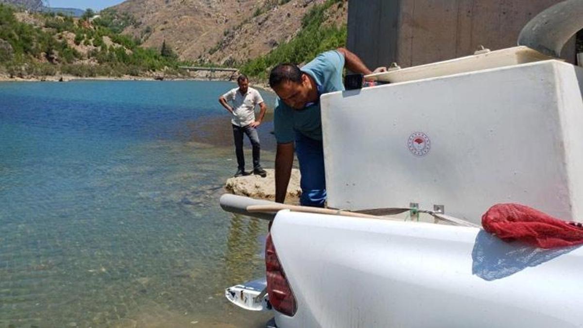 Adana'da Kozan barajlarına 443 bin sazan yavrusu bırakıldı