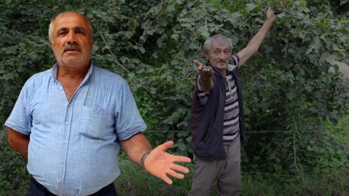 Giresun'da fındık hasadı öncesi harekete geçtiler! Yüksek yevmiyeye karşı yeni yöntem