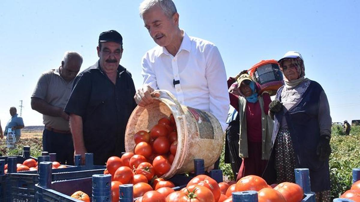 Fiyatlar tarladan pazara değişmiyor! Gaziantep Şahinbey'in büyük başarısı
