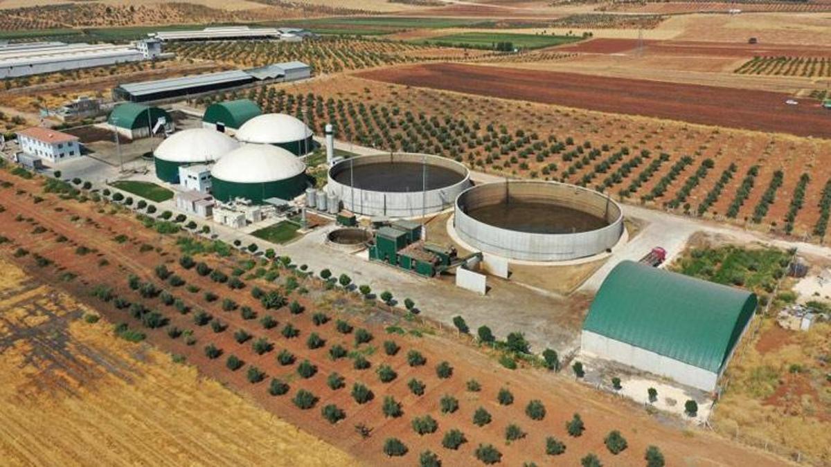 Gaziantep'te ödüllü çevre dostu yeşil projenin etkileri sürüyor