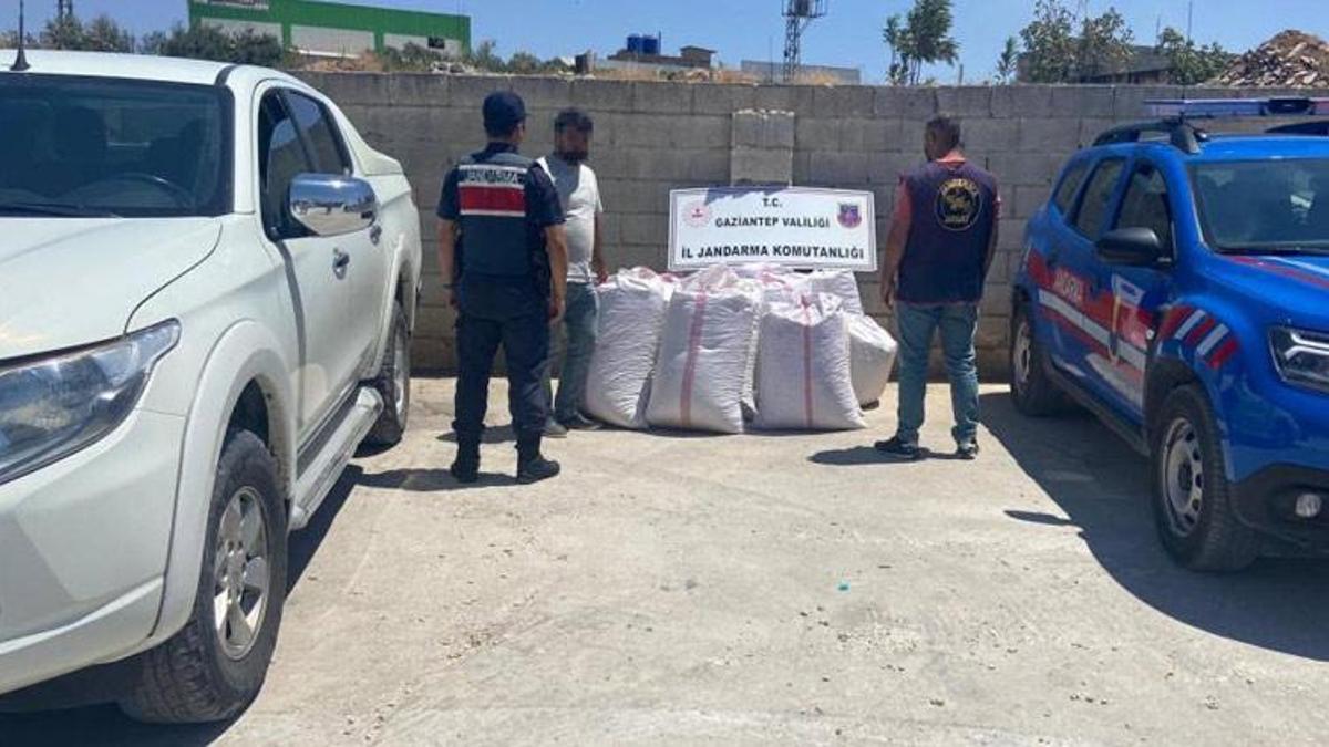 Gaziantep'te babasının tarlasından 1,5 ton Antep fıstığı çalan şüpheli yakalandı