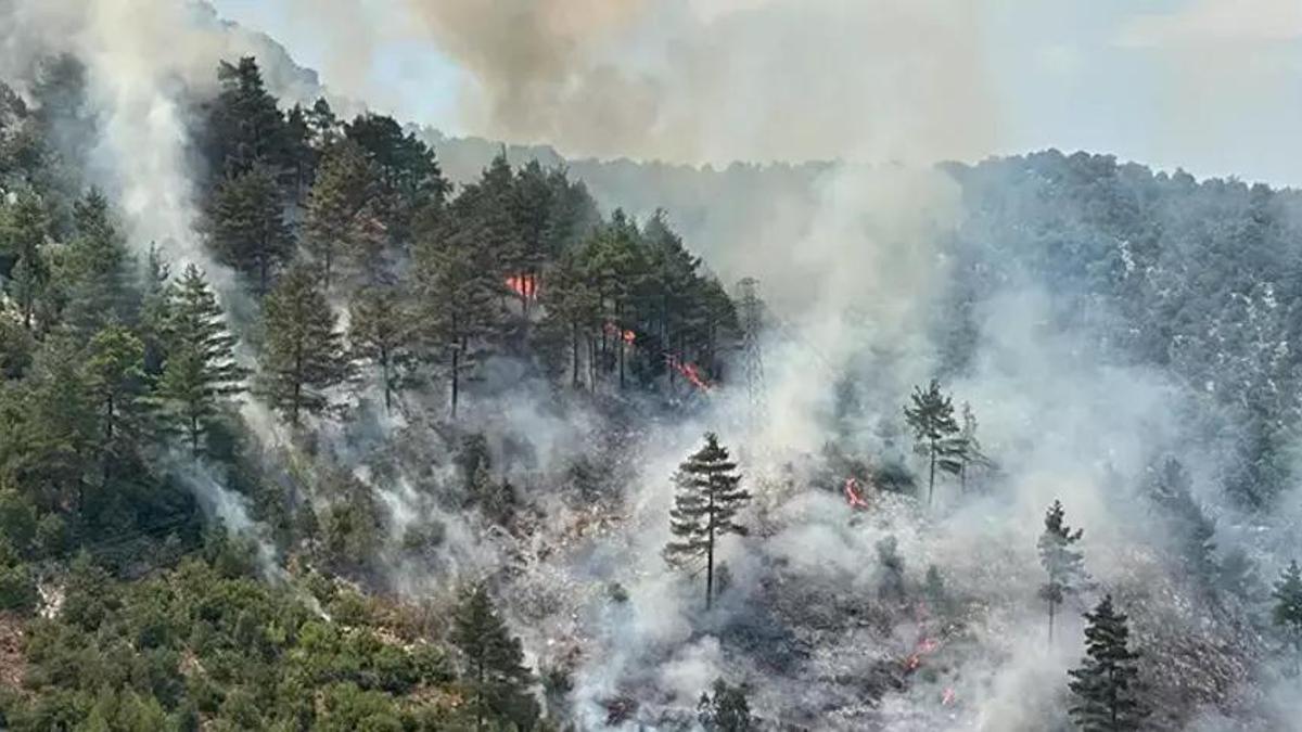 Adana'da orman yangını! Ekipler müdahale ediyor