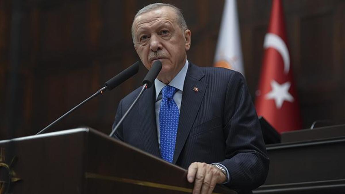 Erdoğan'dan başıboş köpek düzenlemesi mesajı: Millet sorun çözülsün istiyor, Meclis tatile girmeden yasalaşacak