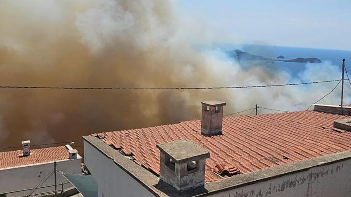İzmir'de orman yangını! Havadan ve karadan müdahale ediliyor