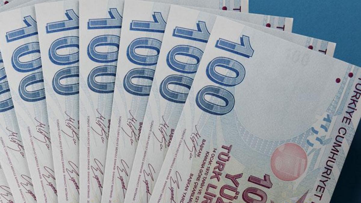 Bakan müjdeyi duyurdu: Tarımsal destek ödemeleri bugün çiftçilerin hesaplarına yatırılacak