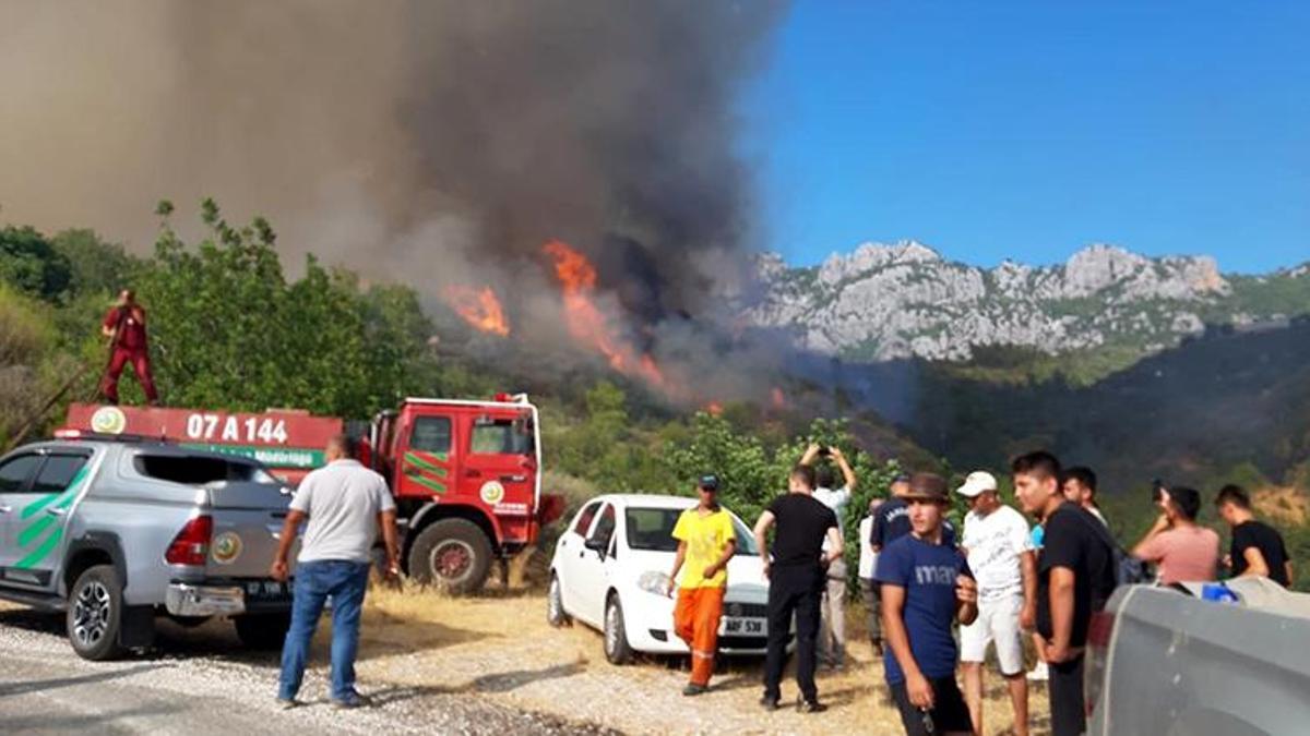 Antalya'da orman yangını! Havadan ve karadan müdahale ediliyor