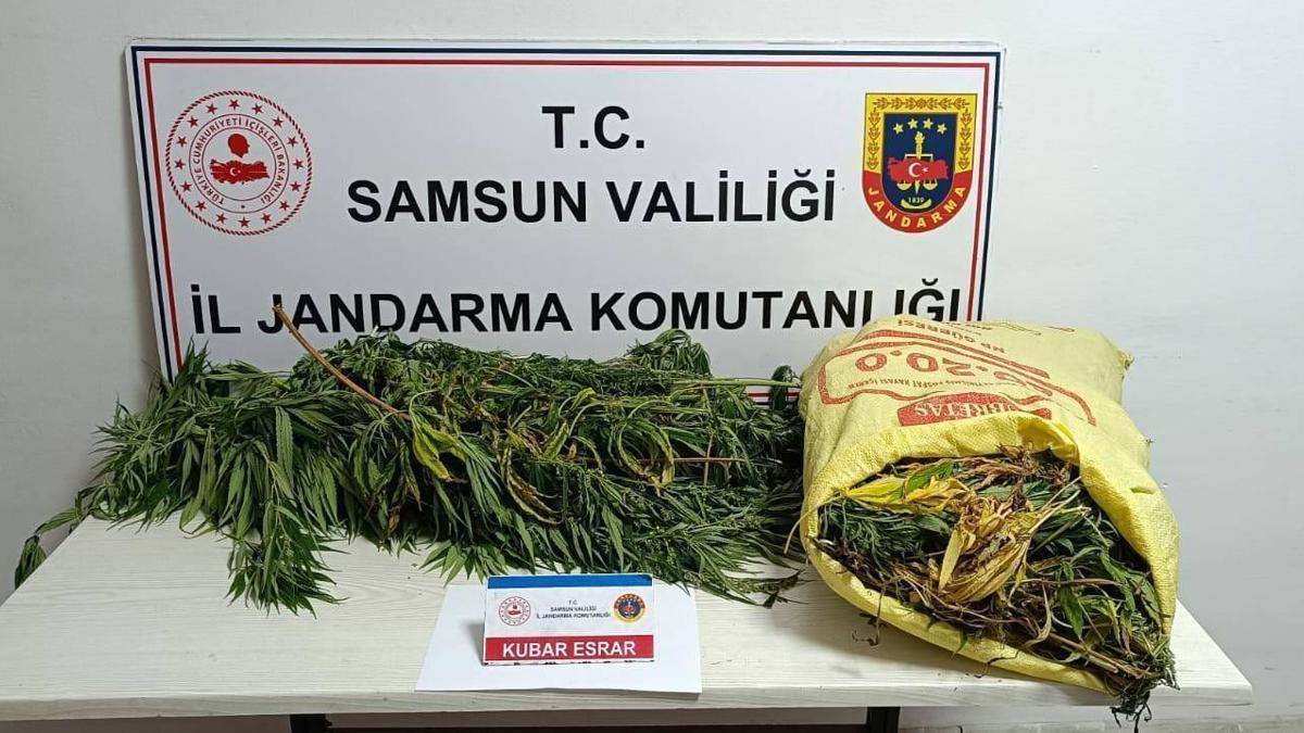 Samsun''da uyuşturucu operasyonu: 1 gözaltı, 1 kişi de aranıyor