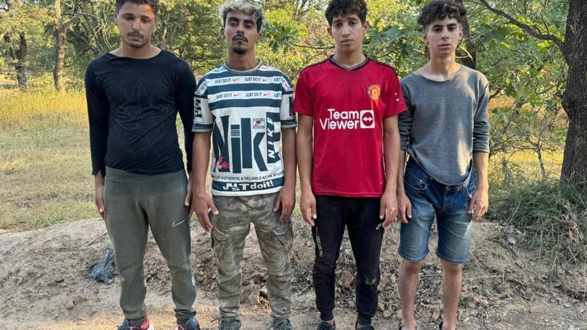 Edirne’de 4 kaçak göçmen yakalandı