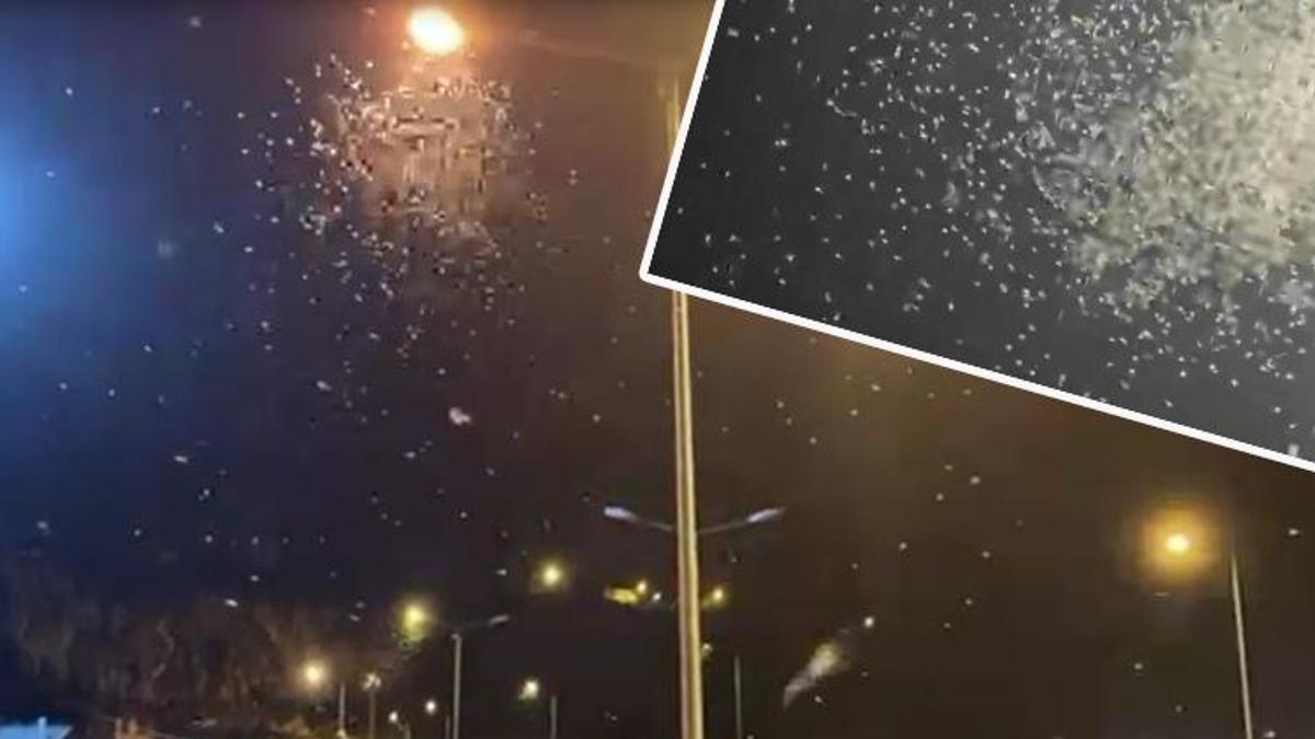 Ardahan'da Bir günlükler'in ölüm uçuşu başladı