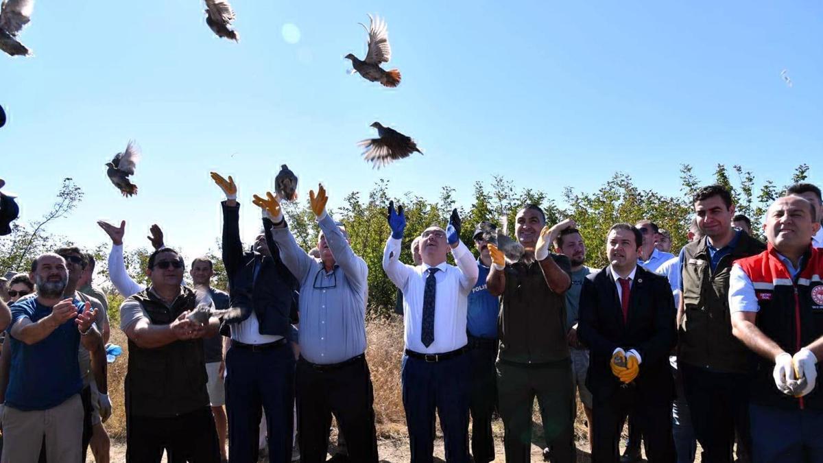 Tekirdağ'da 300 çil keklik doğaya salındı
