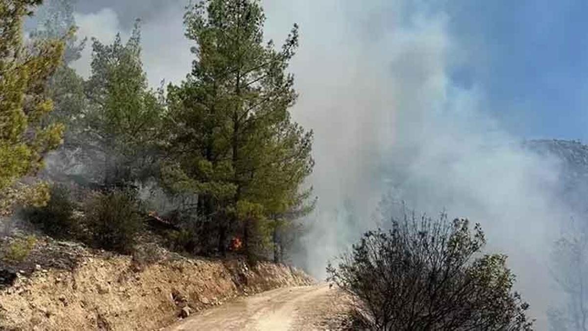 Mersin'de orman yangını: Ekipler müdahale ediyor