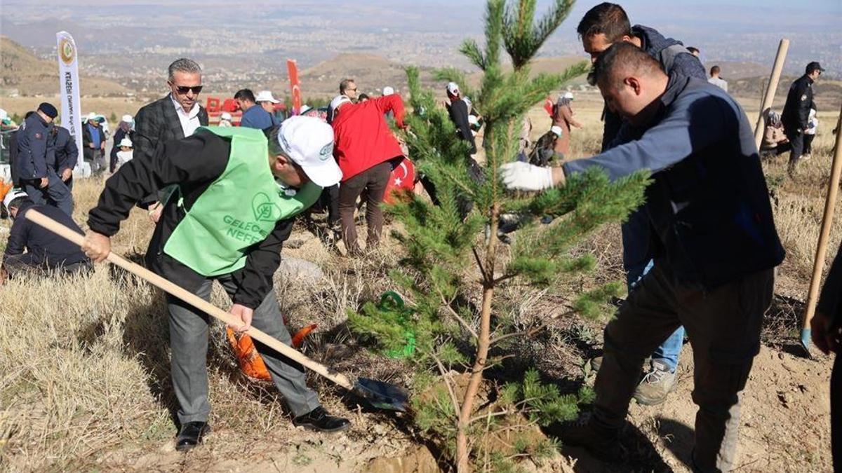 Hacılar'da son 10 yılda 2 milyon ağaç dikildi