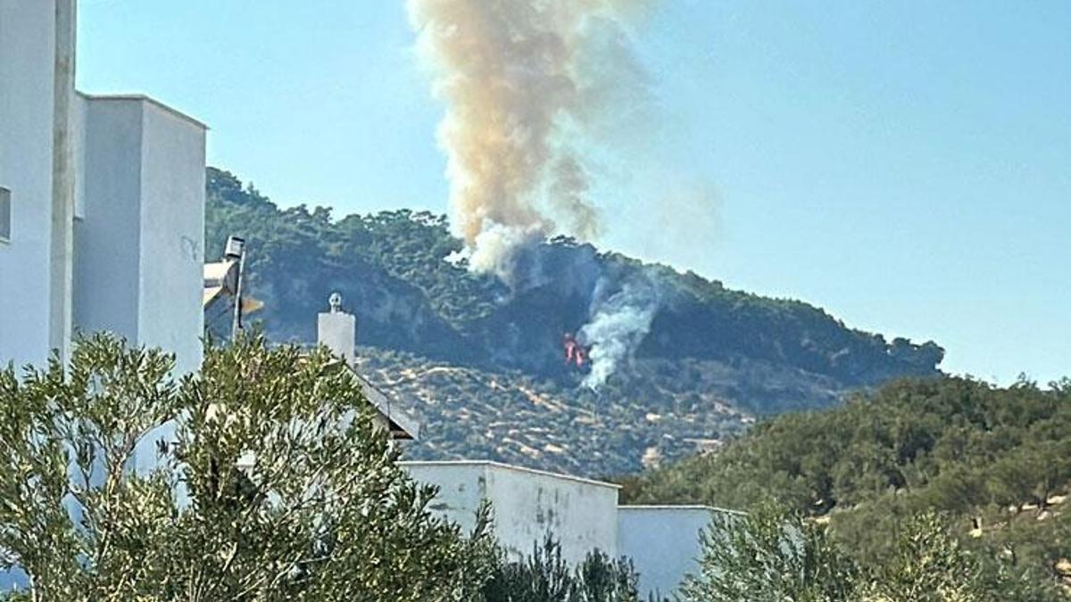 Çanakkale'nin Ayvacık ilçesinde orman yangını çıktı