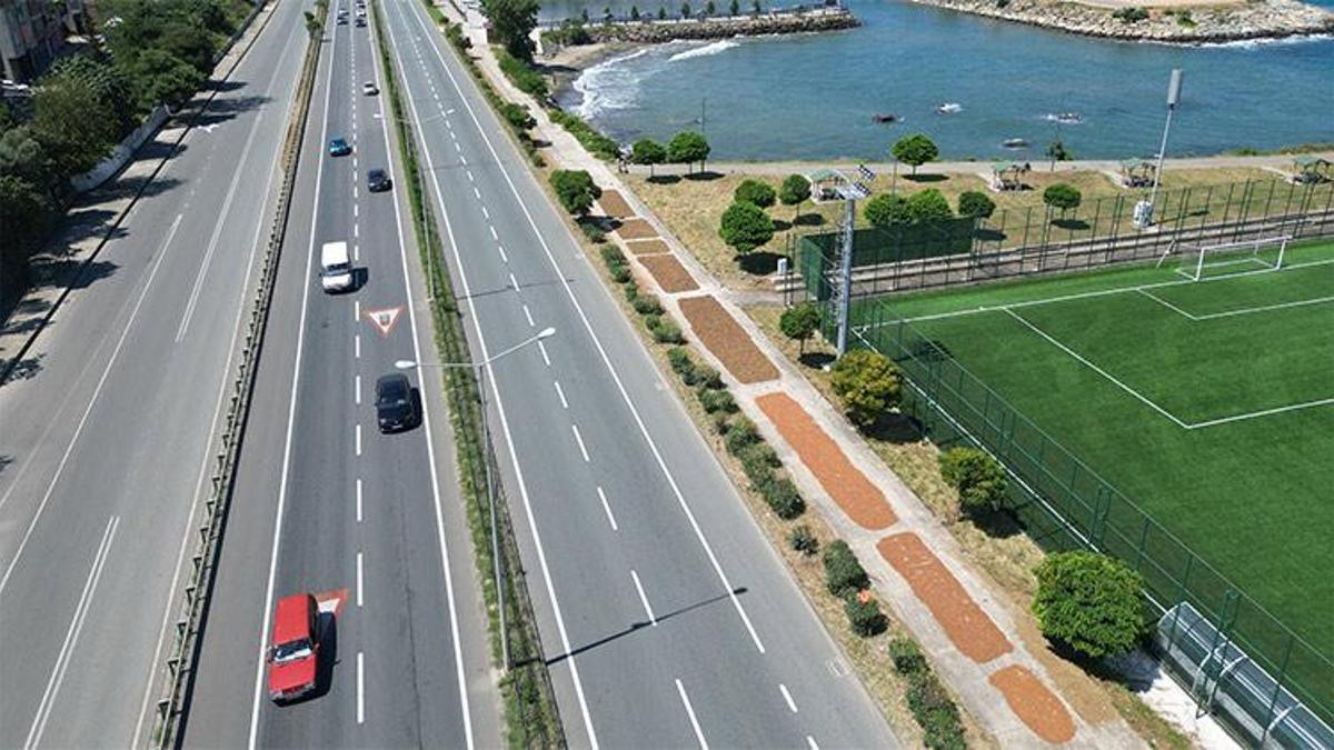 Trabzon'da Karadeniz Sahil Yolu fındıkçılar için harman yeri oldu