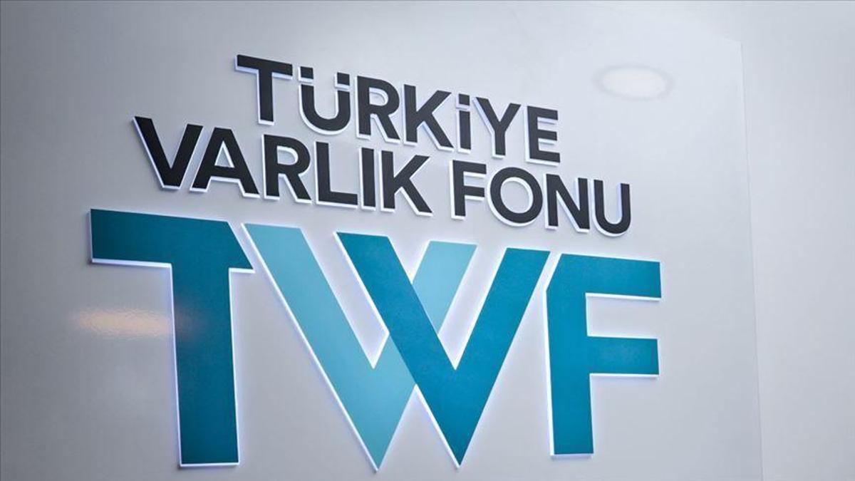 12 şirketin Hazine'ye ait hisseleri Türkiye Varlık Fonu'na aktarıldı