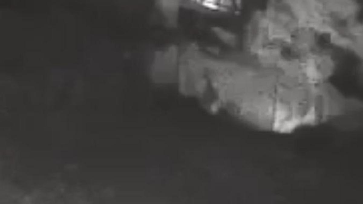 Bozcaada'da şüphelinin otluk alanı ateşe verdiği anlar kamerada