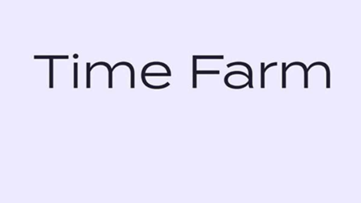 Time Farm 20 Ağustos! Time Farm günlük soru nedir, Time Farm zaman kahini ne? İşte Time Farm günün sorusu ve cevabı…