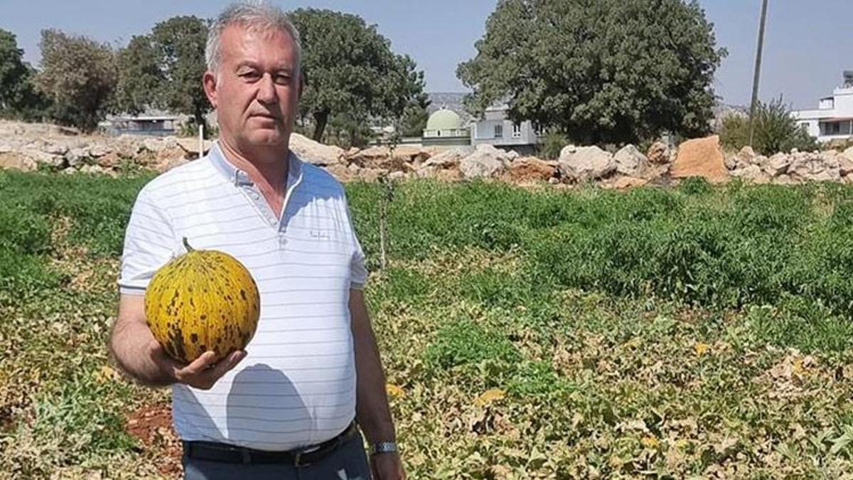 Gaziantep'te kavun ve karpuz üreticileri isyan etti!