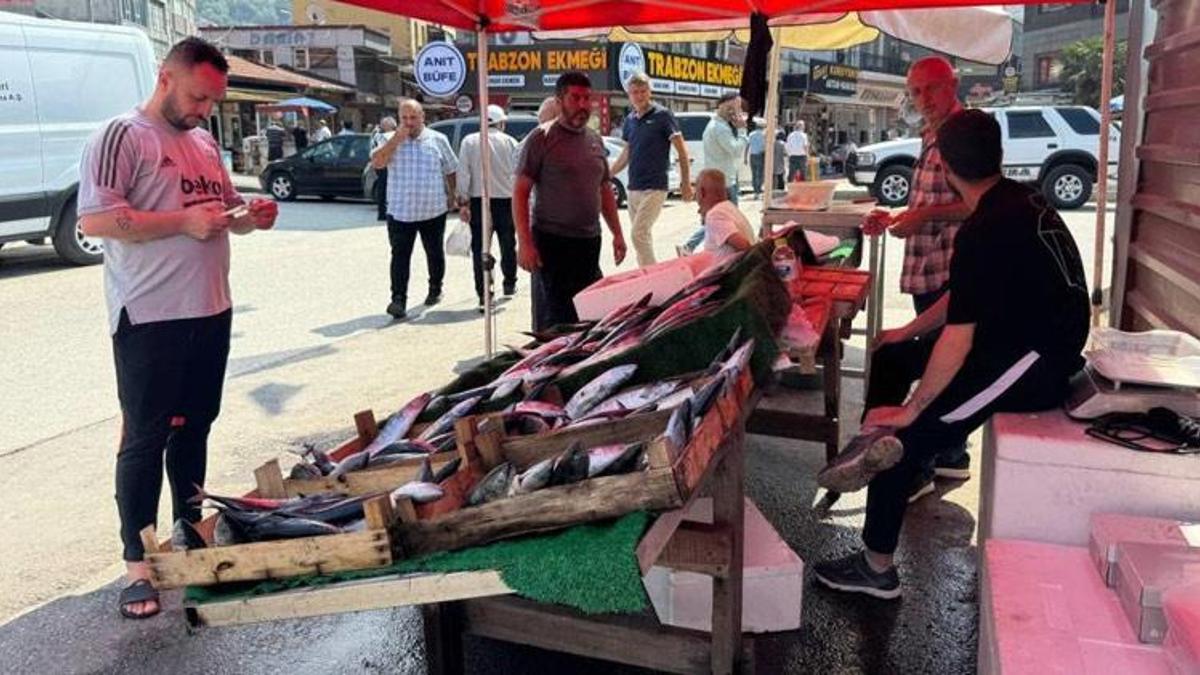 Zonguldak'ta palamut 100 liradan tezgahta yerini aldı