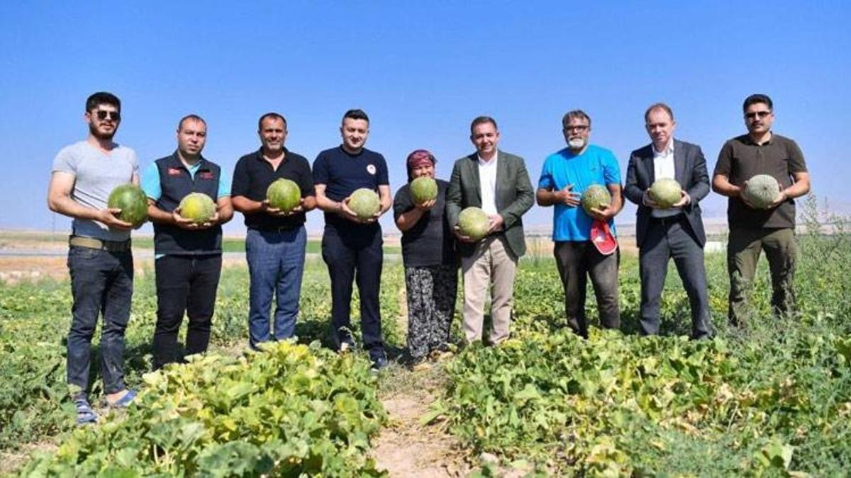Kırşehir'de kavun, karpuz hasadında yöresel coşku