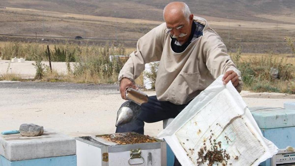 Arıcılar Erciyes Dağı eteklerini tercih ediyor