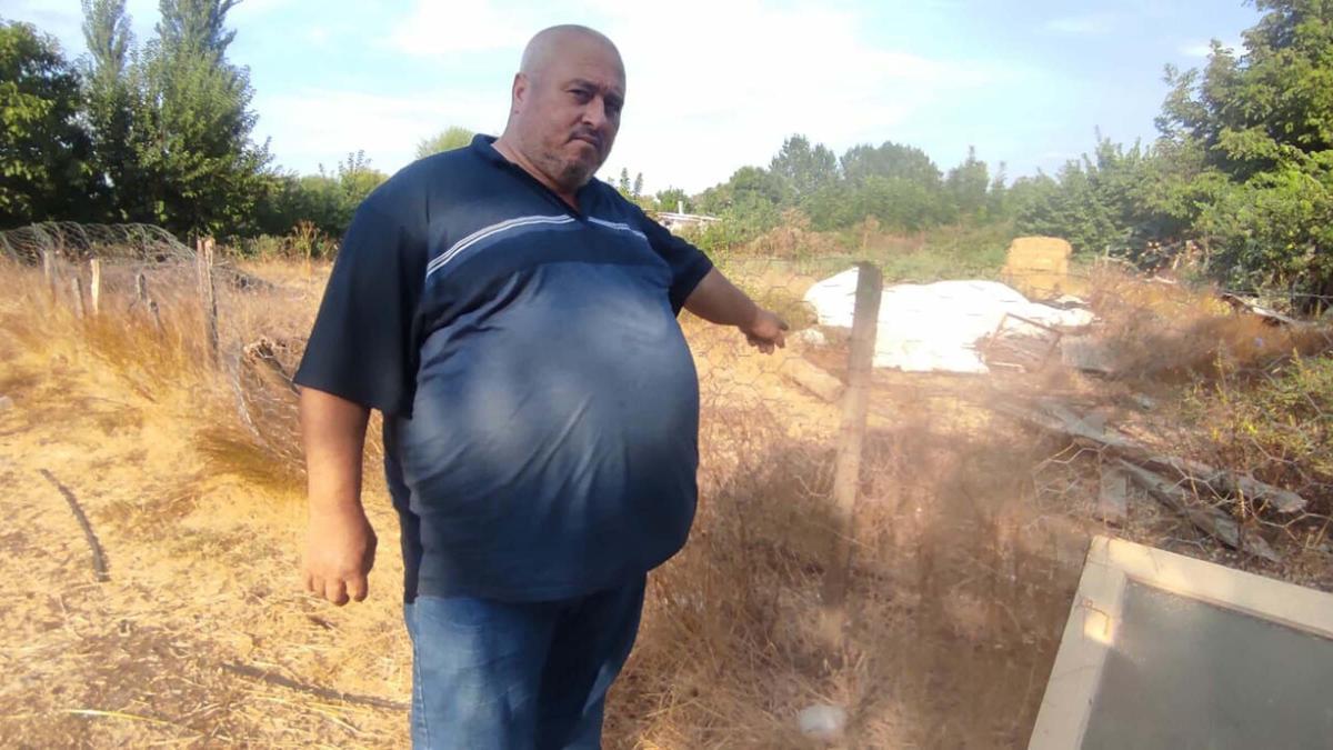 Çanakkale'de 'Bozyörük yılanı'nı görüntülemek isterken saldırısına uğradı