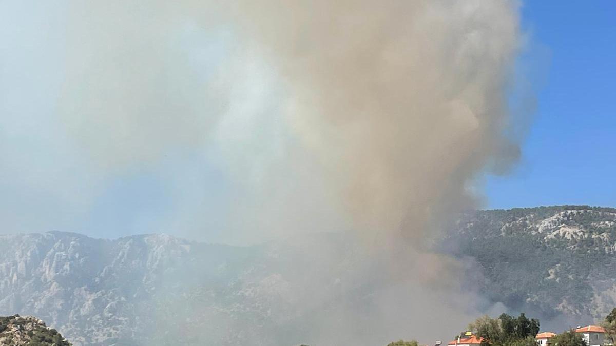 Muğla'da orman yangını