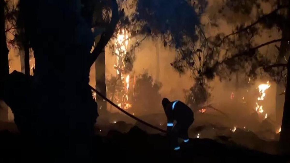 İzmir'de 2 bin 196 hektarlık alanın yanmasına sebep olan tarihi eser kaçakçıları gözaltına alındı