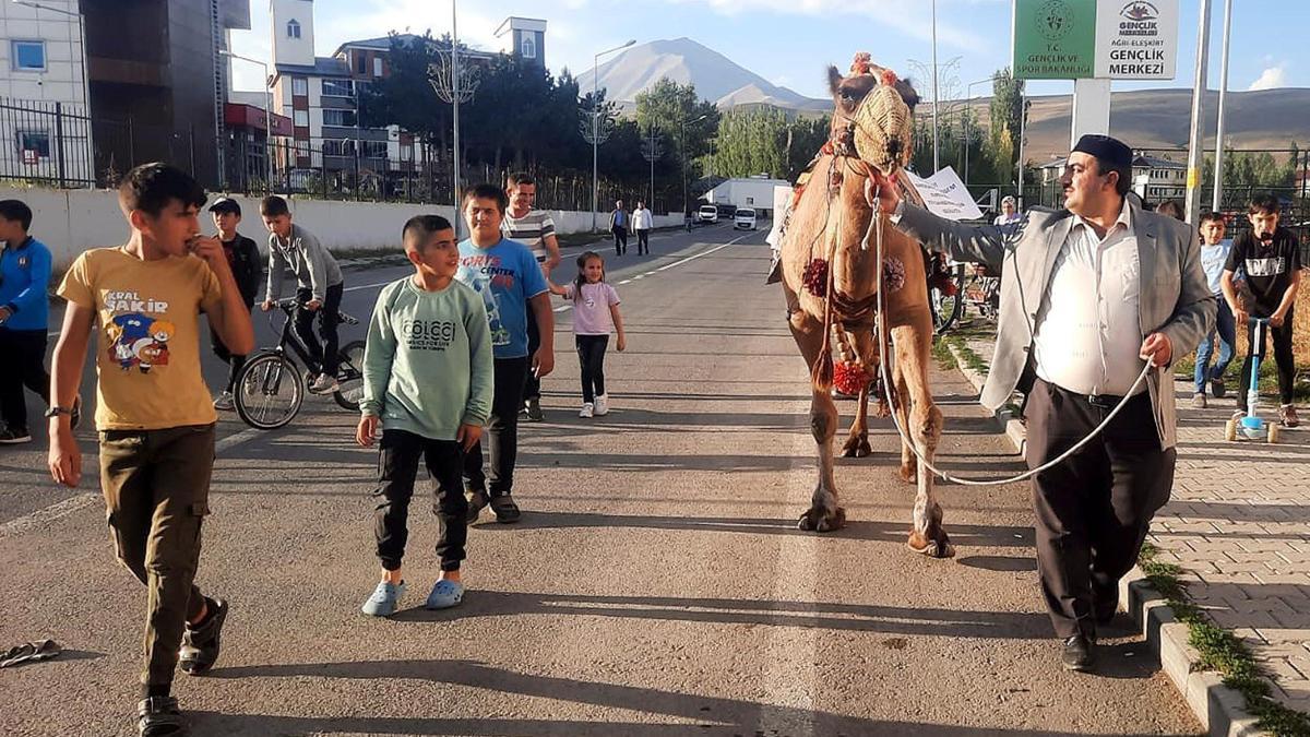 Antalya'dan Ağrı'ya kurbanlık gönderilen deveye ilgi