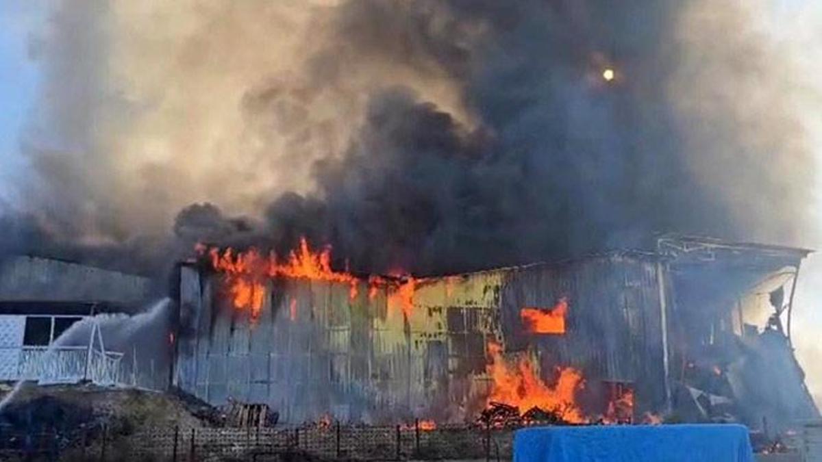 Adana'da balık yemi paketleme fabrikası alevlere teslim oldu