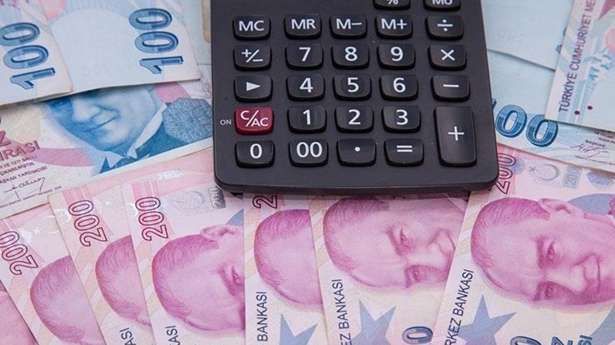 Tarım ve Orman Bakanlığı: Destekleme ödemesi çiftçilerin hesaplarına aktarıldı