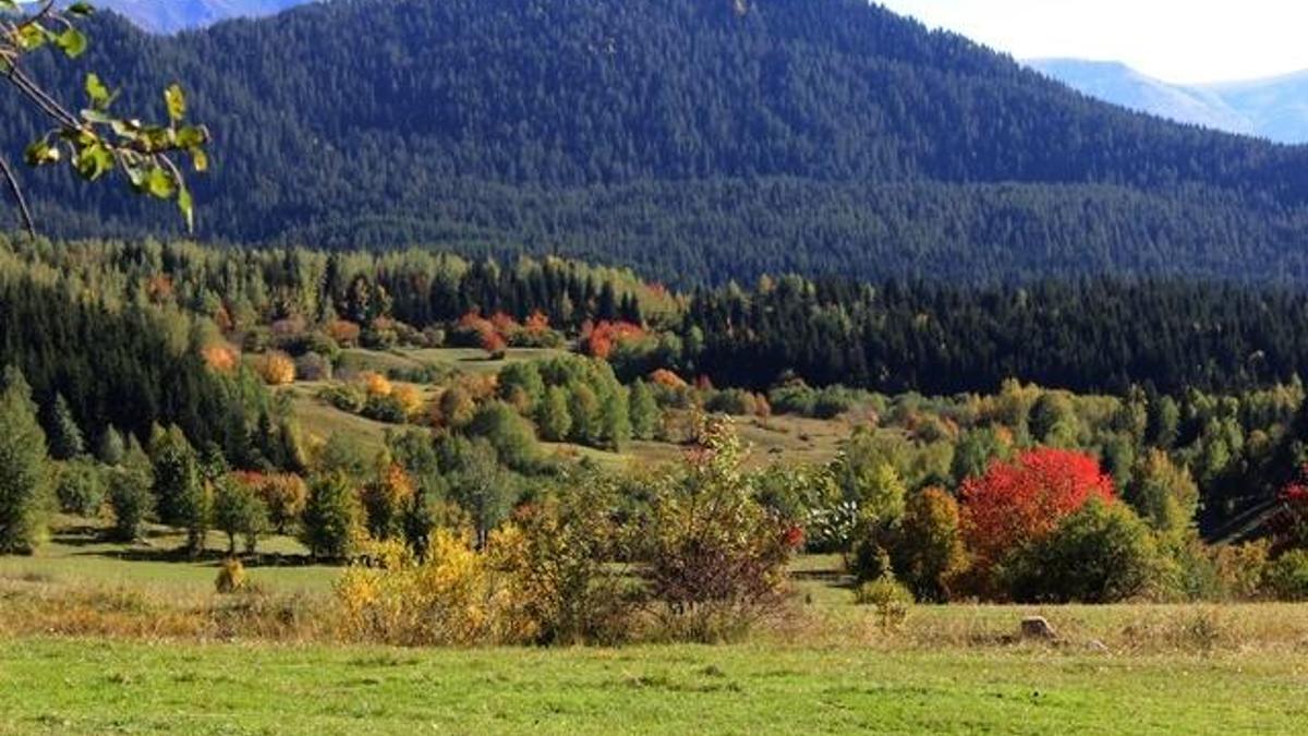 Şavşat'ta sonbahar kendini göstermeye başladı