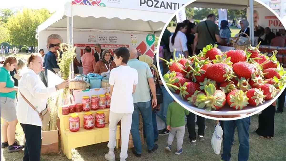 Adana Lezzet Festivali'ne damgasını vurdu: Pozantı çileği kapış kapış gitti