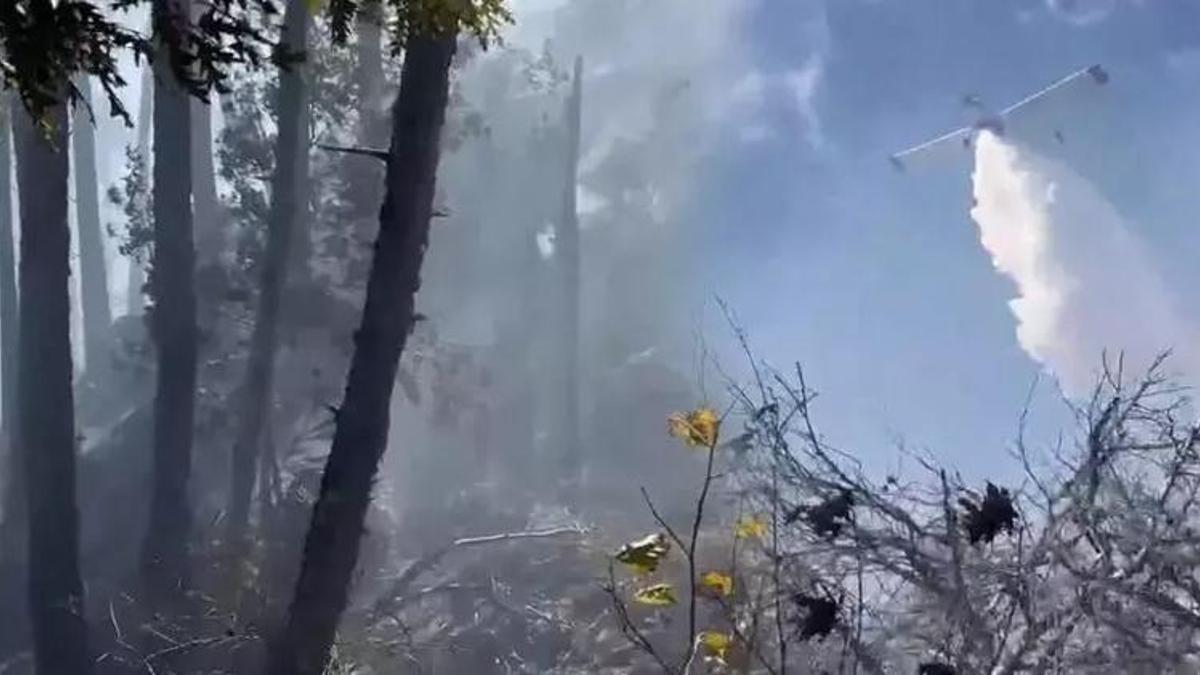 Adana'da orman yangını! Havadan ve karadan müdahale ediliyor