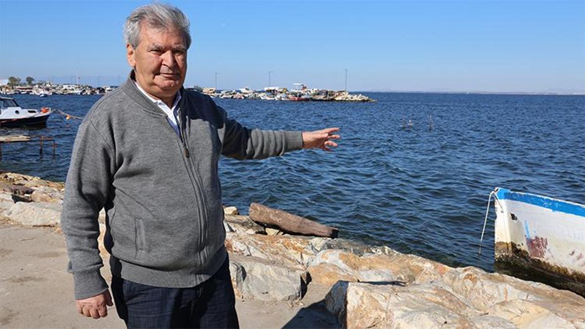 İzmir Körfezi balık ölümleri ile dünya rekoru kırdı