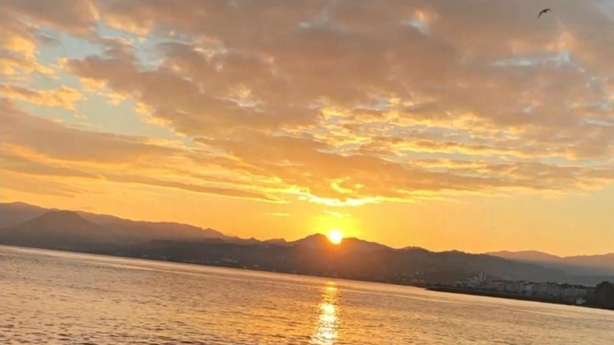 Ordu'da ay yıldız silueti bulutlara yansıdı