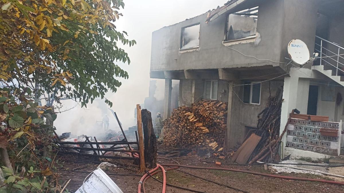 Bursa'daki yangında 2 ev, 1 ahır ve 1 kömürlük kullanılamaz hale geldi