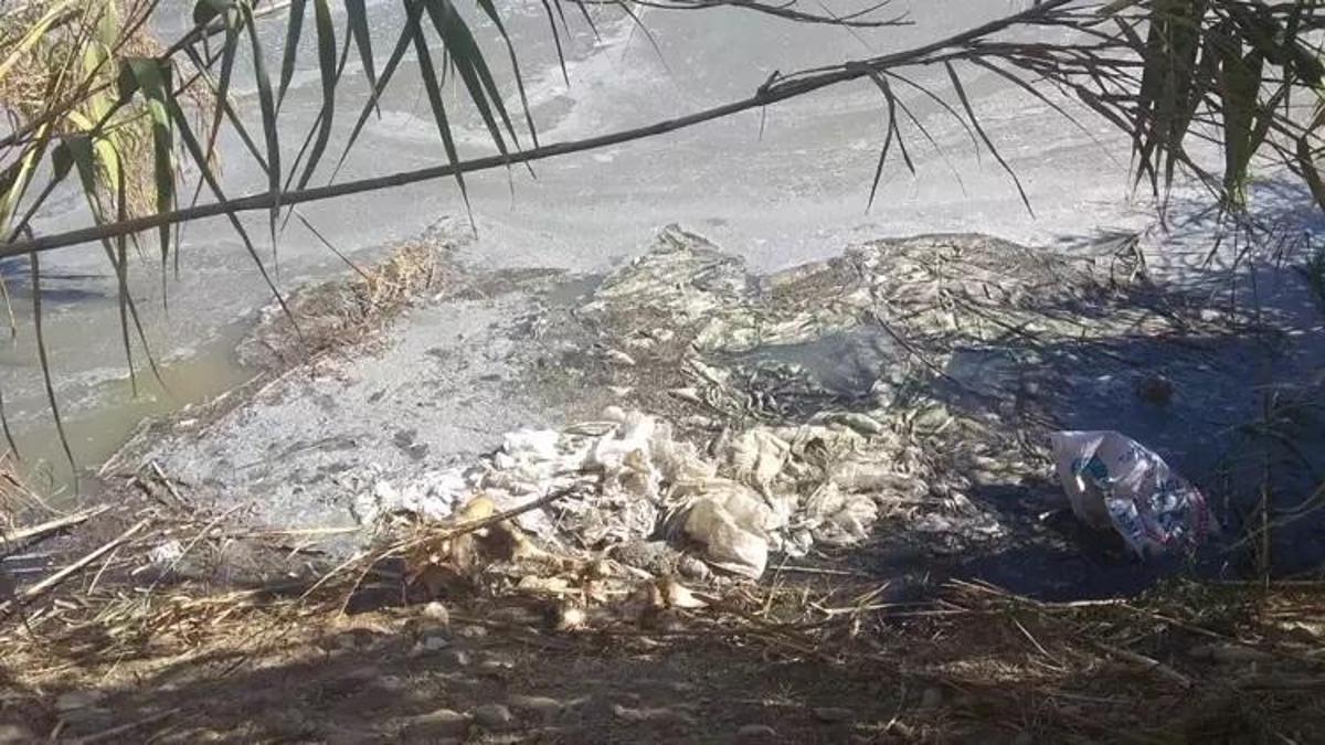 Bakanlıktan İzmir Büyükşehir Belediyesi'ne çevre kirliliği cezası