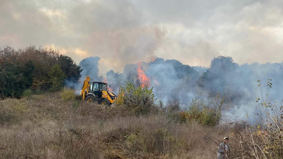 Çanakkale'de orman yangını