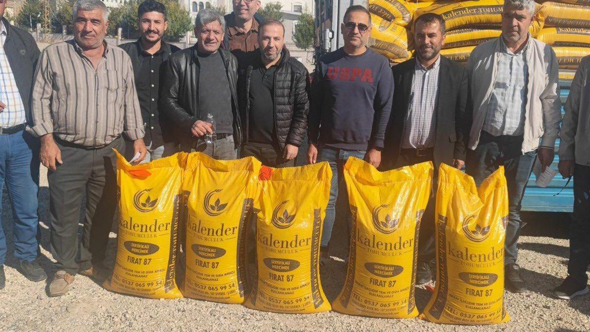 Kozluk'ta, çiftçilere sertifikalı kırmızı mercimek tohumu desteği