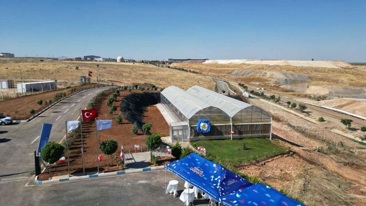 Gaziantep'te çevre dostu örnek proje: Çöpten enerji üretip çilek yetiştiriliyor
