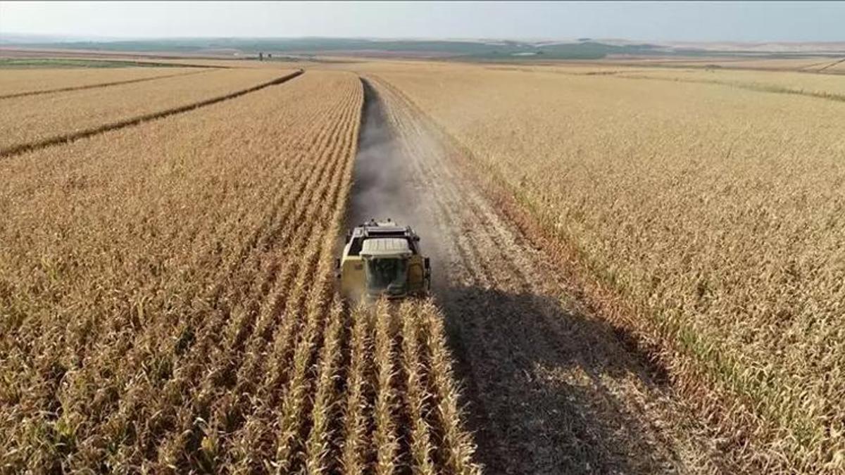 Adana'da çiftçilere yıl sonu uyarısı: Son gün 31 Aralık