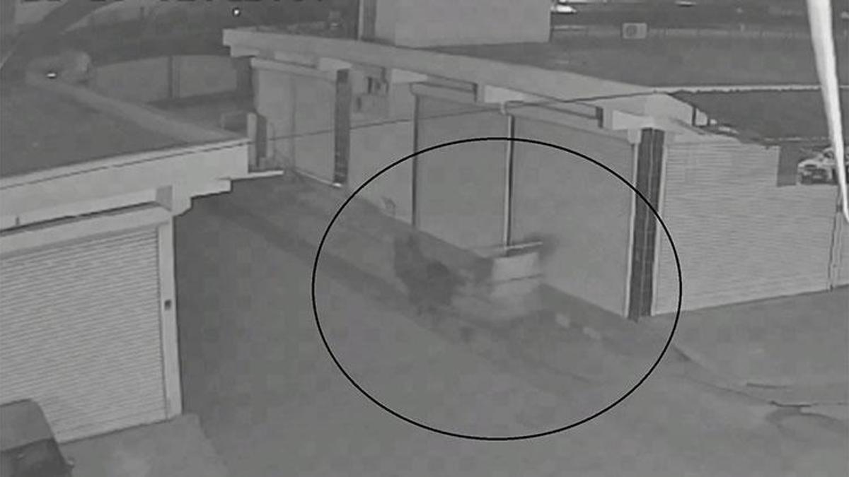 At arabasıyla gelip, sitenin demir kapısını çaldılar!