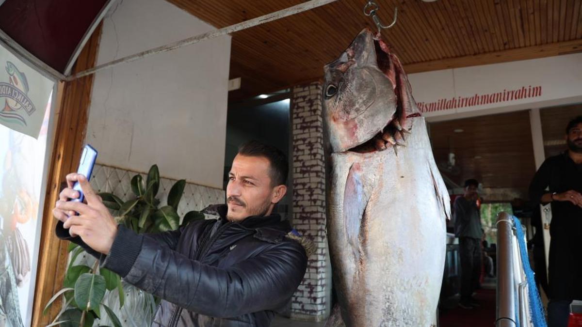 Kozan'da devasa orkinos görenleri şaşkına çeviriyor! Vatandaş fotoğraf çektirmek için birbiriyle yarıştı